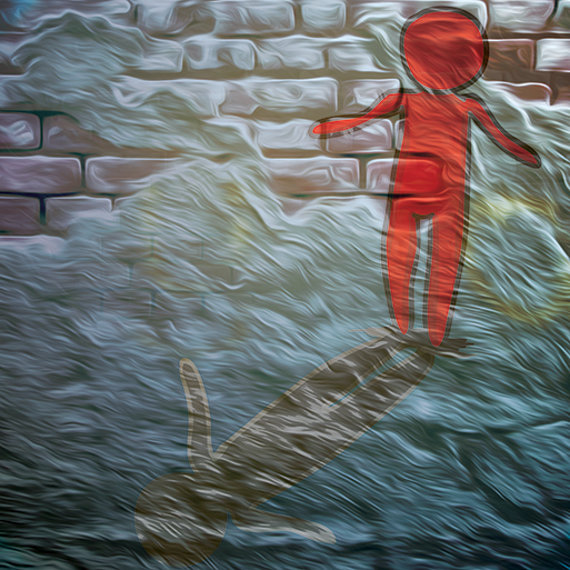 Shadow does not know bro