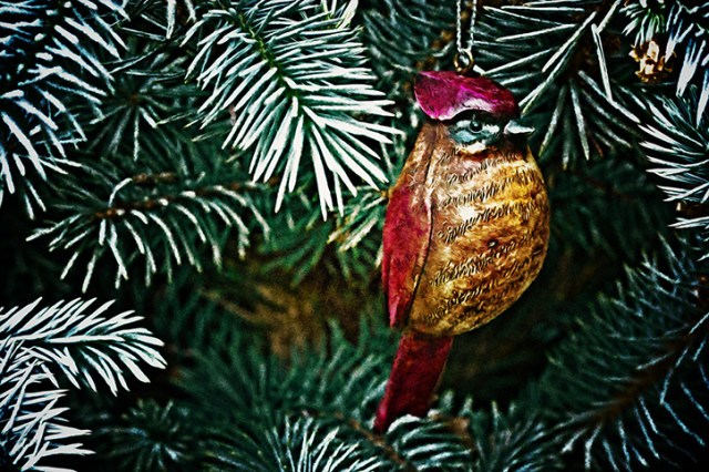 A bird in the tree is better then two in a bush wait that does not sound right