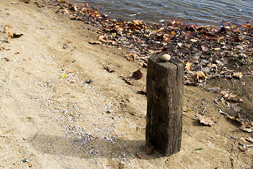 A large pebble on a railroad/ railroad sleeper