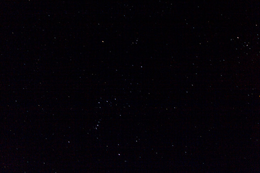 Orion
