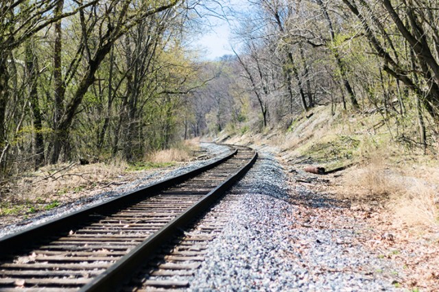 Train tracks in the spring