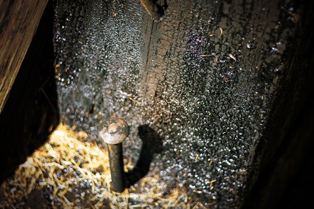 Close up of a rail road spike