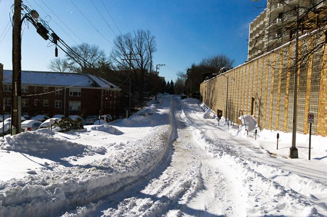 Looking down the plowed road