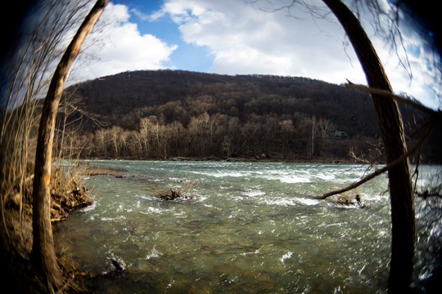 Fisheye River Moutain Tree